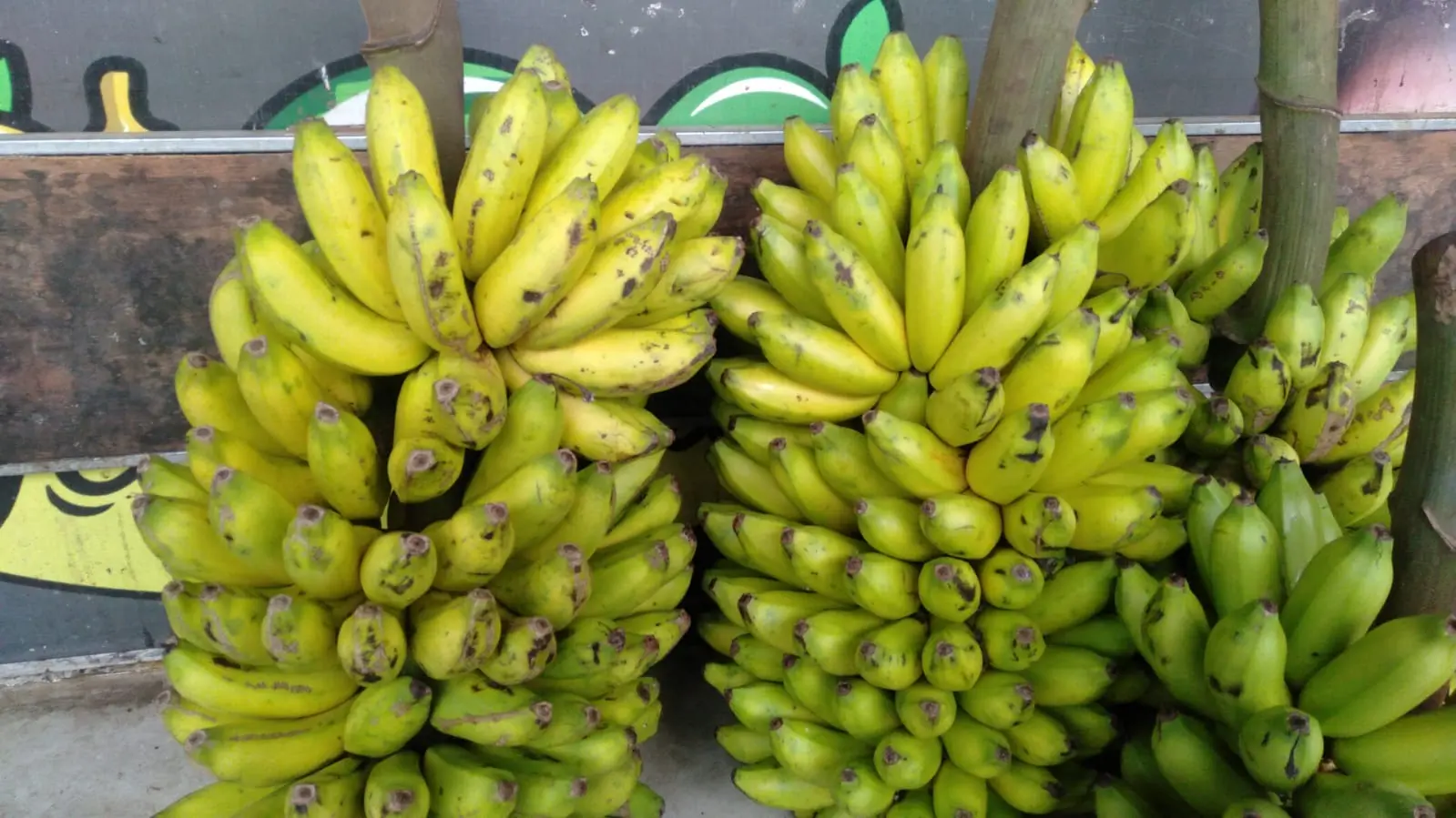 Pisang